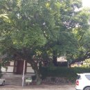 구천서당 이미지