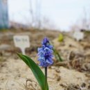 두리농원 이미지