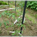 벧엘사슴농장 이미지