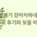 아띠지기 | 아띠지기 강아지하네스? 솔직 후기와 보듬 비교