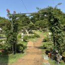 파인트리하우스 이미지