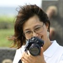 여심(女心) 이미지