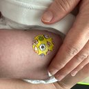 365 열린연합의원 이미지