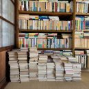 완벽한날들 이미지