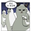 한우생고기잭 - 성동구 독서당로 187 | 한우생고기잭
