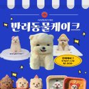 메이드알콩 이미지