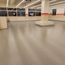 핫도그 애견 이미지