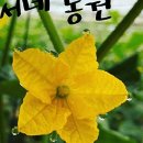 은서네밥상