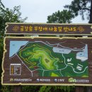 금강숲 무장애나눔길 조성 네이버블로그