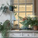 보인한의원 | [치료기록]09. 자궁경부이형성증 CIN3 한의원치료 후기, 가격, 결과