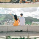 밍크플라이