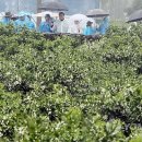 신효동-14 이미지