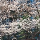 최근 우리 아파트 숙녀들의 변화 이미지