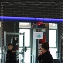 메이저복싱 이미지