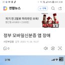 정부 모바일신분증 앱 장애 이미지