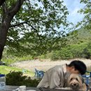 무라카데칼국수 | 울산 여행 애견동반 식당 무라카데칼국수 내돈내산 방문후기