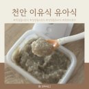 천안중기 | 천안 성성동 유아식 첫걸음 이유식 중기 2 후기
