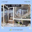 서리풀노리학교 이미지