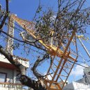 남원읍-51 이미지