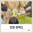 벅스 | 인천 서창 아이와 함께 가볼만한곳 추천! 요즘 핫플 실내동물원 ‘쥬벅스’ 후기