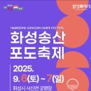 송산포도로 이미지