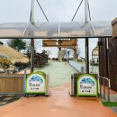 양서·파충류생태공원 아나콘다관 이미지