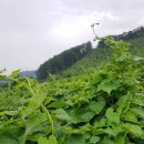 라온농원