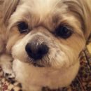 나랑놀개 이미지