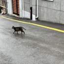 하주펜션 | 『광안리숙소/이쁜펜션』 모든 살림이 다 있는 향기좋은 생활형 펜션 “광안머묾”