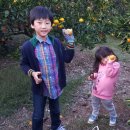 민아농장 이미지