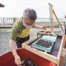 [김 한 장의 비밀]: 당신이 먹는 김, 이렇게 만들어진다!
