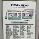 오닉스스킨테라피 이미지