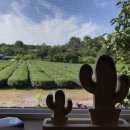 홍외과의원 이미지