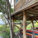 중화요리일미향 이미지