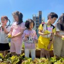 성모희보어린이집 이미지