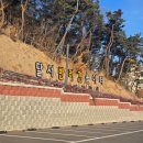 놀이터 | 대구 달서 반려견 놀이터🐕 방문 후기