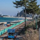 정동진역 이미지