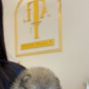 테일러퍼피 - 김해시 내외중앙로 41 | 테일러퍼피