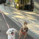 평촌나무동물병원 이미지