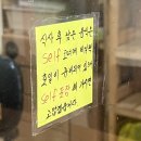선비꼬마김밥 상남점 네이버블로그