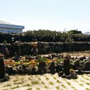 해넘이달렌탈하우스 이미지