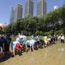 강남유치원 이미지