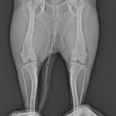 검단이담동물의료센터 이미지