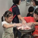 하림치킨 이미지