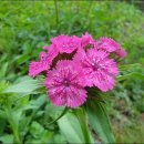 아미산농장 이미지