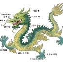 용용죽겠지 이미지