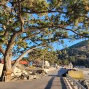 직포비렁길민박 이미지