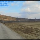 구룡천제방 이미지