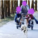 성지농장 이미지