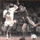 차범근 카카오 검색결과